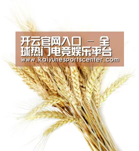 开云官网入口 - 全球热门电竞娱乐平台