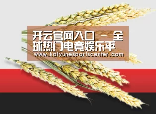 开云官网入口 - 全球热门电竞娱乐平台
