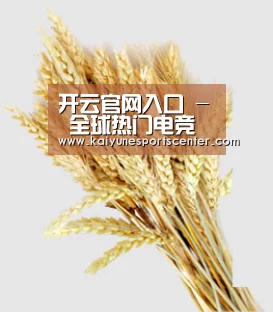 开云官网入口 - 全球热门电竞娱乐平台