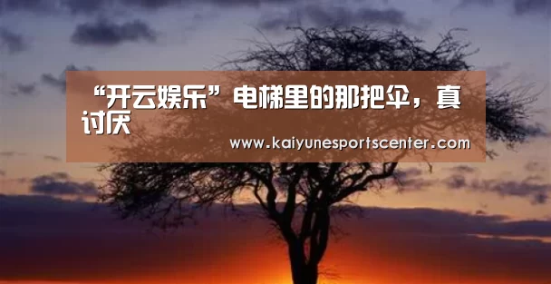 开云体育