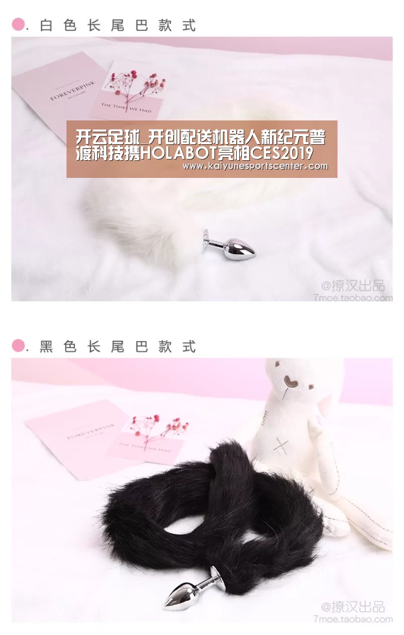 开云足球_开创配送机器人新纪元普渡科技携HOLABOT亮相CES2019(图3) 开云娱乐